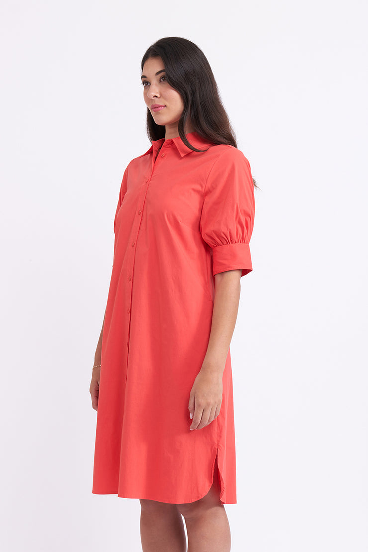 Dress - A+ by FOIL