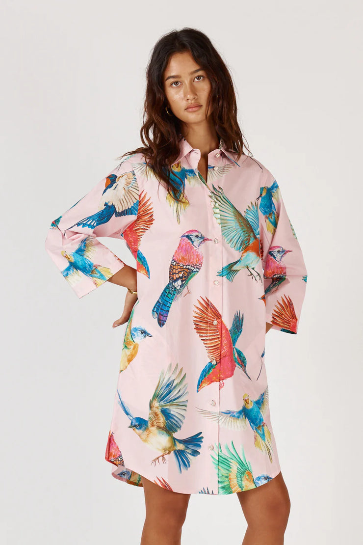 Dress - Warbler Shirtmaker by  Rubyyaya