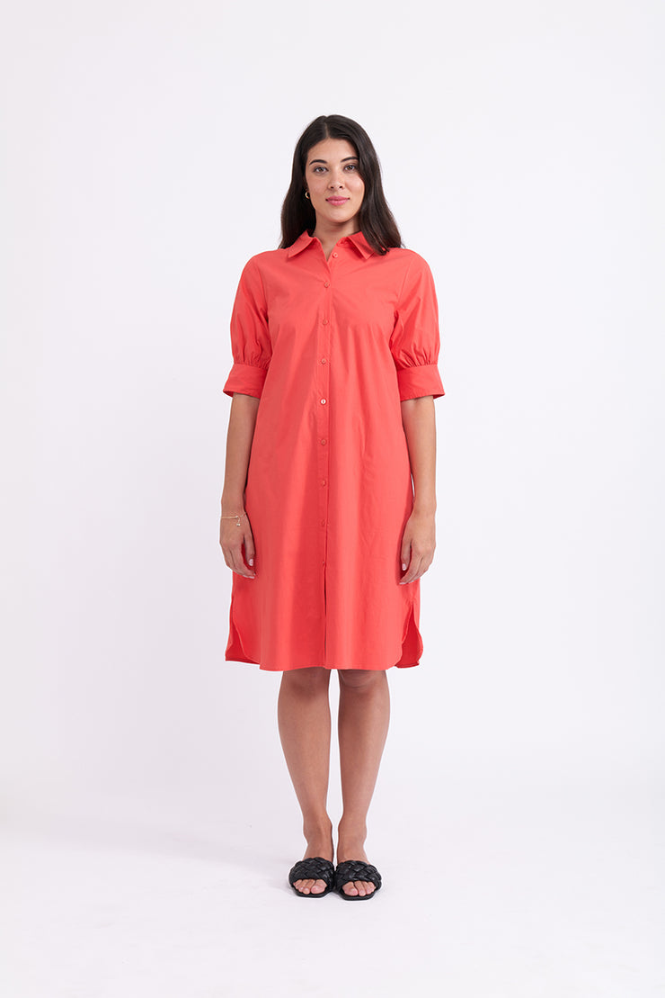 Dress - A+ by FOIL
