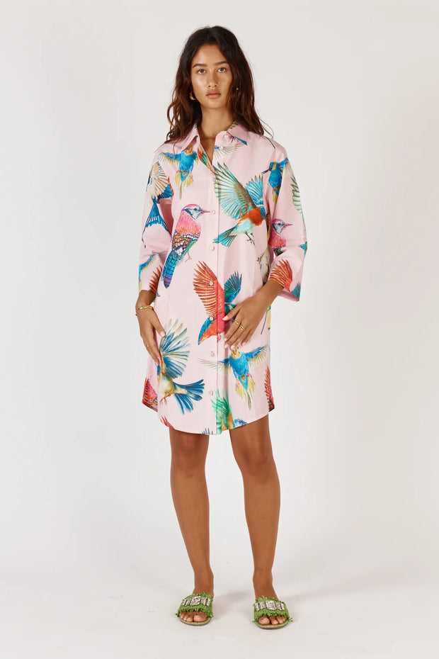 Dress - Warbler Shirtmaker by  Rubyyaya